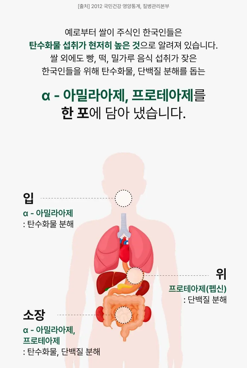[차주영 PICK] 비비랩 파로 효소 밸런스 20포 (20일분) 상세페이지 11